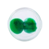 Vorgee Ear Putty - Green 1 Vorgee Ear Putty - Green -Funky Trunks Store edf871994e3af25f244fae96b094fc4f972c91d5